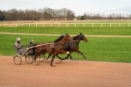 Cheval,-Chevaux,-Domaine-de-Grosbois,-Drivers,Grosbois,-Kaleidos,-Kaleidos-images,-La-parole-à-limage,-Marolles-en-Brie,-Sulky,-Tarek-Charara,-Trot,-Trotteurs